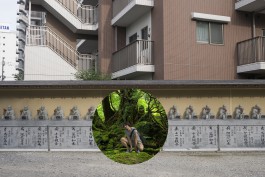 Postcards from elsewhere - Matsudo 