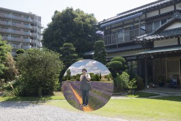 Postcards from elsewhere - Matsudo 